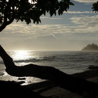 DSC09075