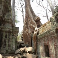 Temples d'Angkor 10