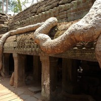 Temples d'Angkor 12