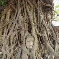 Ayutthaya 11