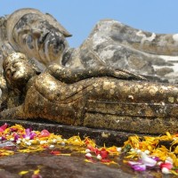 Ayutthaya 4