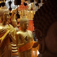 Chiang Mai 14