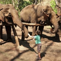 Chiang Mai 18