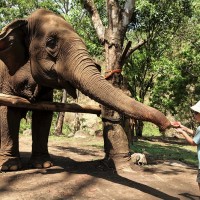 Chiang Mai 19
