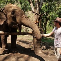 Chiang Mai 21