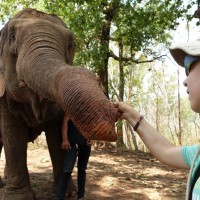 Chiang Mai 23