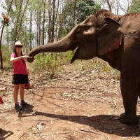 Chiang Mai 25
