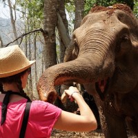 Chiang Mai 27
