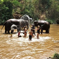 Chiang Mai 31