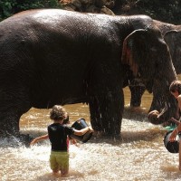 Chiang Mai 32