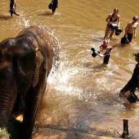 Chiang Mai 33