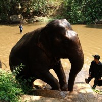 Chiang Mai 34