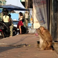 Lopburi 16
