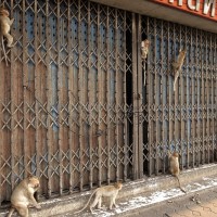 Lopburi 17