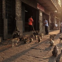 Lopburi 18
