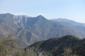 DSC01182                 