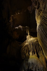 DSC01190            