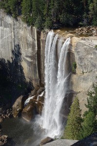 DSC01007  