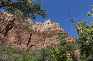 DSC01421 